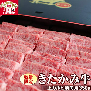 yӂ邳Ɣ[Łzs   t݋ Jr ēp 350g  Y a   Jr Jr Ε YN A5 A4 lC 茧 ks E0149 (̂䂤)   ē J