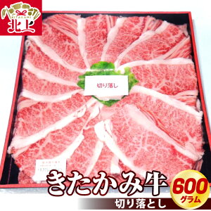 yӂ邳Ɣ[Łz݋ ؂藎Ƃ 600g ʌ A5 A4 lC   a Ε YN p ؂藎Ƃ Ԃ Ă ē 茧 ks E0162î䂤j  