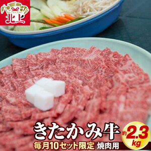 yӂ邳Ɣ[Łzi10Zbgj݋ Ăp 2.3kg (750g×3) ʌ A5 A4 lC   Ε YN p  o J^ Jr ~bNX 茧 ks I0038î
