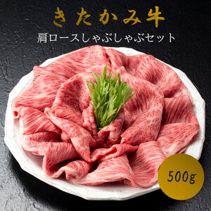 yӂ邳Ɣ[Łz   [X Ԃ Zbg 500g 4ȏ  a   Ⓚ 茧 ks J_Y H0153 k㋍ ݋ uh јa [X  