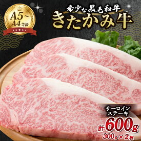 【ふるさと納税】 きたかみ牛 サーロインステーキ 300g×2枚 4等級以上 国産 黒毛 和牛 牛肉 肉 冷凍 岩手県 北上市 西部開発農産 I0116 牛 ステーキ 北上牛 きたかみ牛 ブランド牛 黒毛和 正月 クリスマス バレンタインデー ホワイトデー ご褒美 贅沢 プレゼント