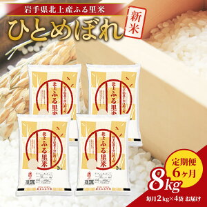 yӂ邳Ɣ[Łzy ߘa7NY V z ЂƂ߂ڂ    8kgi 2kg ×4܁j× 6  uh   Yn Y  茧 ks P0129 h{Lx  iǗ  