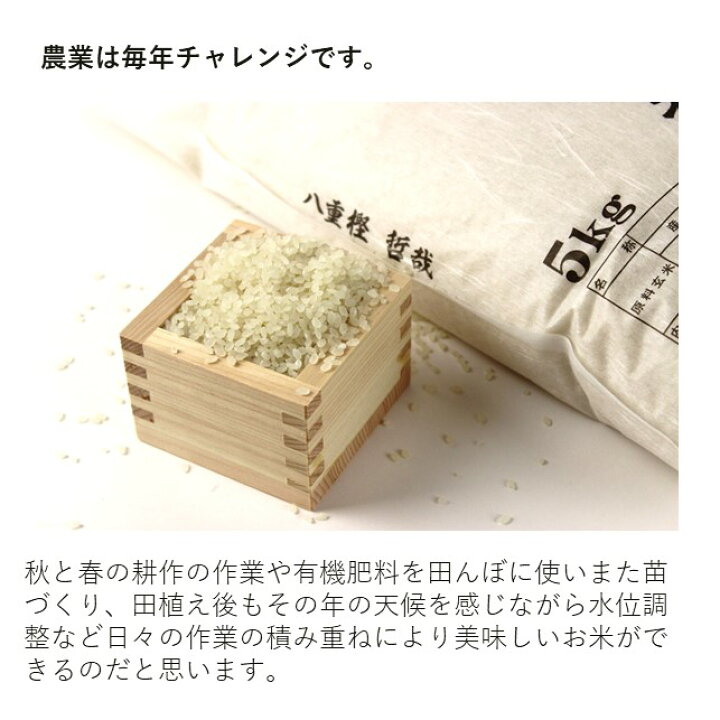 楽天市場】【ふるさと納税】【予約受付！令和8年産】 銀河のしずく 5kg 