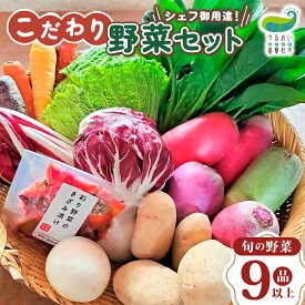 【ふるさと納税】 こだわり 野菜セット（ 9品 以上 ）シェフ御用達 旬 野菜 詰め合わせ 国産 岩手 うるおい春夏秋冬 岩手県 北上市 C0493 旬野菜 季節の野菜 西洋野菜 紫人参 黄色人参 丸なす 水なす 小なす 長なす とうがらし 伏見とうがらし カラフル 野菜