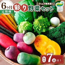 【ふるさと納税】 【 6ヶ月 定期便 】 彩り 野菜セット（ 7品 目以上〜）シェフ御用達 農園自慢 旬 野菜 詰め合わせ 定期 国産 岩手 うるおい春夏秋冬 やさい セット 産直直送 岩手県 北上市 J0076 季節の野菜 西洋野菜 人参 なす 長なす とうがらし カラフル 送料無料