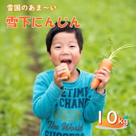 【ふるさと納税】2026年 1月 発送開始 予定 雪国のあまーい 雪下にんじん 約10kg 人参嫌いの息子のために開発！ 野菜 人参 にんじん 甘い野菜 10kg 国産 東北 岩手 季節限定 産地直送 食育 岩手県 北上市 D0145
