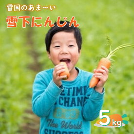 【ふるさと納税】2026年 1月より 発送 開始 予定 雪国のあまーい 雪下にんじん 約 5kg 人参嫌いの息子のために開発！ 野菜 5kg 人参 にんじん 甘い野菜 国産 東北 岩手 産地直送 食育 岩手県 北上市 C0074
