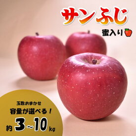 【ふるさと納税】北上山系 りんご 「 サンふじ 」【 予約受付 /2025年 11月発送開始 】玉数おまかせ 3kg ・ 5kg ・ 10kg から選べる【蜜入り 保証 】さんふじ 林檎 展勝地 桜の名所 展勝地レストハウス 岩手県 北上市 H0149