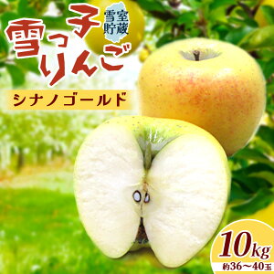 【ふるさと納税】【 予約受付 /2026年 4月発送 】 雪っ子 りんご シナノゴールド 3kg 5kg 10kg から選択可能 数量限定 リンゴ 林檎 果物 フルーツ 果実 贈答 おすそ分け シェア 雪室貯蔵 雪っ子り