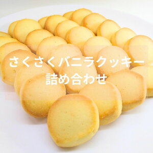 yӂ邳Ɣ[Łz  ojNbL[ lߍ킹    Mtg  v[g a o^C zCgf[ yY َq Vv sgp  F 