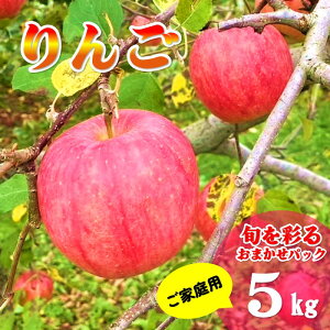 yӂ邳Ɣ[Łz _ 9菇 ^{ʂ邨܂pbN y ƒp z 5L (13`20) ь S 5kg Y k  Yn  󂠂 t[c ʕ 茧 ks C0522 