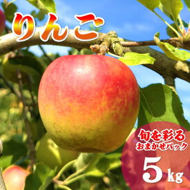 【ふるさと納税】【 北上市産 りんご 】＼11月中旬発送予定／ 旬を彩るおまかせパック 【 贈答用 】5キロ (約13〜20玉) 2種 セット 国産 林檎 リンゴ 食べ比べ 詰合せ 産地直送 旬 秋 冬 おすすめ 5kg 東北 岩手 金鈴園 岩手県 北上市 D0452 季節限定