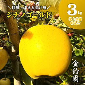 【ふるさと納税】＼予約受付 10月下旬以降順次発送予定 ／【 北上市産 りんご 】シナノゴールド 【 贈答用 】 3キロ (約8〜12玉) 国産 林檎 リンゴ 3kg 果物 フルーツ 果実 産地直送 旬 秋 冬 しなの ゴールド 送料無料 東北 岩手 金鈴園 岩手県 北上市 C0521