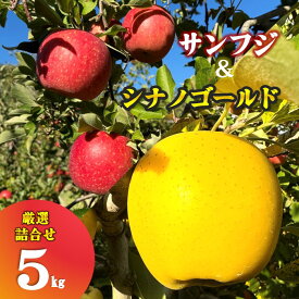 【ふるさと納税】＼予約受付 11月下旬より発送開始予定／ 【 北上市産 りんご 】サンふじ & シナノゴールド 【 厳選 詰め合せ 】 5キロ セット (約13〜20玉) 贈答用 林檎 リンゴ 5kg 食べ比べ 国産 産地直送 フルーツ 東北 岩手 金鈴園 岩手県 北上市 E0253