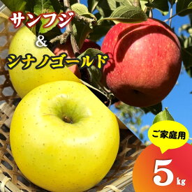 【ふるさと納税】＼ 予約受付 11月下旬発送開始予定 ／【 北上市産 りんご 】サンふじ ＆ シナノゴールド 【 家庭用 詰め合せ 】 5キロ セット (約13〜20玉) 林檎 リンゴ 5kg 食べ比べ サン ふじ 国産 産地直送 果物 東北 岩手 金鈴園 岩手県 北上市 D0453 訳あり