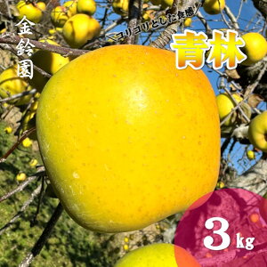 yӂ邳Ɣ[Łz_\t 11{蔭Jn\^yksY  z  ( ZC ) yIʁz 3L (9`13) ь S 3kg ̂  Y Yn t[c 