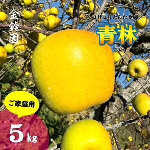 yӂ邳Ɣ[Łz_\t 11{蔭Jn\^yksY  z  ( ZC ) yƒpz5L (13`20) ь S 5kg ̂  Y Yn t[c 
