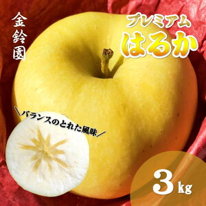 yӂ邳Ɣ[Łz_\t 11{蔭Jn\^y ksY  zv~A͂邩 yIʁz 3kg (9`12) Y ь S ͂邩 ʕ t[c Yn { H ~ Gߌ
