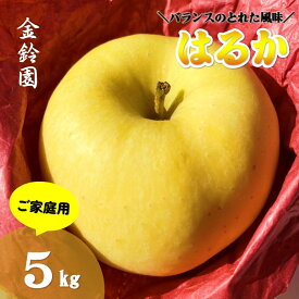 【ふるさと納税】2026年11月より発送開始／【北上市産】 はるか [ 家庭用 ] 5キロ (約13～18玉) 林檎 リンゴ 5kg 国産 産地直送 フルーツ 果物 岩手県 北上市 D0445 りんご 訳あり 金鈴園 季節限定 秋 冬