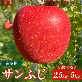 【ふるさと納税】＼予約受付 11月下旬より発送開始予定／【 北上市産 りんご 】サンふじ 【 家庭用 】 2.5kg〜5kg 林檎 リンゴ サンフジ 国産 東北 岩手 産地直送 送料無料 フルーツ 果物 果実 金鈴園 岩手県 北上市 訳あり 季節限定 秋 冬