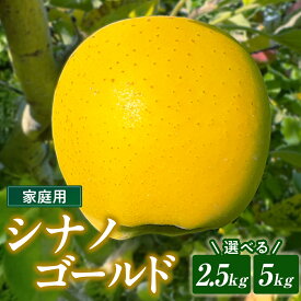 【ふるさと納税】＼予約受付 11月中旬ころから順次発送予定 ／【 北上市産 りんご 】シナノゴールド 【 家庭用 】 2.5kg〜5kg 国産 林檎 リンゴ 果物 フルーツ 果実 しなの ゴールド 産地直送 送料無料 旬 秋 冬 東北 岩手 金鈴園 岩手県 北上市 訳あり