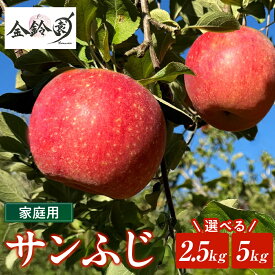 【ふるさと納税】【 北上市産 りんご 】サンふじ 【 家庭用 】 2.5kg〜5kg 『営業日5日前後で発送可能』林檎 リンゴ サンフジ 国産 東北 岩手 産地直送 送料無料 フルーツ 果物 果実 金鈴園 岩手県 北上市 訳あり 季節限定 秋 冬