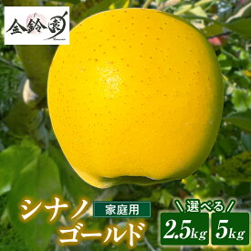 【ふるさと納税】＼予約受付 11月中旬ころから順次発送予定 ／【 北上市産 りんご 】シナノゴールド 【 家庭用 】 2.5kg〜5kg 国産 林檎 リンゴ 果物 フルーツ 果実 しなの ゴールド 産地直送 送料無料 旬 秋 冬 東北 岩手 金鈴園 岩手県 北上市 訳あり