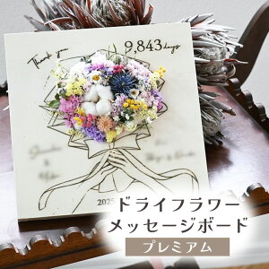 yӂ邳Ɣ[ŁzhCt[bZ[W{[hiX^_[h^v~Aj  hCt[  蕨 ̓ AWg t[ Mtg t[AWg v[