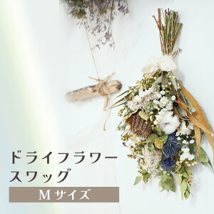 yӂ邳Ɣ[ŁzhCt[XbOiSTCY`MTCYj  hCt[  蕨 ̓ AWg t[ Mtg t[AWg v[g   