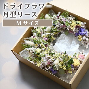 yӂ邳Ɣ[ŁzhCt[^[XiSTCY`MTCYj  hCt[  蕨 ̓ AWg t[ Mtg t[AWg v[g   