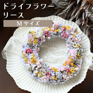 yӂ邳Ɣ[ŁzhCt[[XiSTCY`MTCYj  hCt[  蕨 ̓ AWg t[ [X Mtg t[AWg v[g   