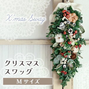 yӂ邳Ɣ[ŁzNX}X hCt[XbO  hCt[  蕨 ̓ AWg t[ Mtg t[AWg v[g  茧 ks ؂ 