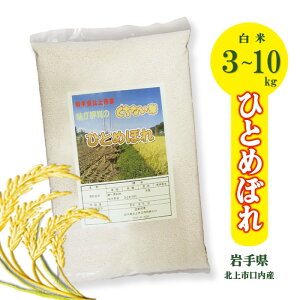 yӂ邳Ɣ[Łz _\t 11Jn\ ^ ߘa7NY V ЂƂ߂ڂ i ʍ͔| Ȃ  j3kg 5kg 10kg Iׂ 茧 ks Y k    R7N 2025N 