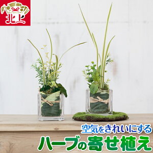 yӂ邳Ɣ[ŁzCꂢɂA[gt[ n[ů񂹐A C sv CeA  u t rO Q 蕨 v[g Ƃ肦q 茧 ks C0572