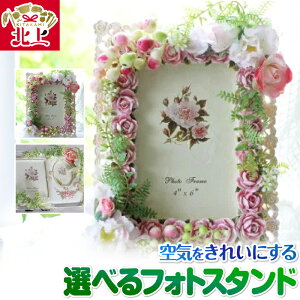 yӂ邳Ɣ[ŁzCꂢɂA[gt[ IׂtHgX^h ʐ^ tHgt[ t[AWg vU[uht[ L  G} 蕨 v[g 