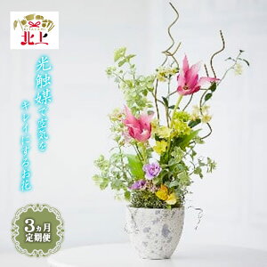yӂ邳Ɣ[Łz y/3zCꂢɂ G߂̃A[gt[ L  C G} N  t[AWg G 蕨 v[g CeA rO Q