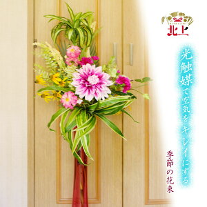yӂ邳Ɣ[ŁzCꂢɂA[gt[ G߂̉ԑ t[AWg L  C G} N  G 蕨 v[g CeA  rO Gg