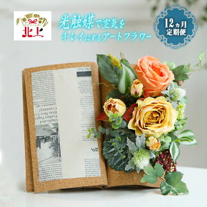 yӂ邳Ɣ[Łz y  / 12 zCꂢɂ G߂̃A[gt[ L  C G} N  t[AWg G 蕨 v[g CeA rO 