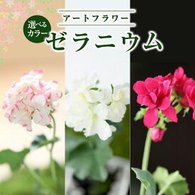 【ふるさと納税】空気をキレイにするお花 ゼラニュウム アートフラワー 除菌 消臭 光触媒 水やり不要 インテリア 小物 置物 贈り物 プレゼント ゼラニウム あとりえヒロ 岩手県 北上市 B0426