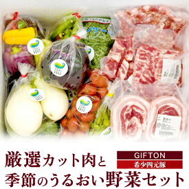 【ふるさと納税】岩手ブランド豚 四元豚 特選部位 食べ比べ セット 季節の野菜セット GIFTON お歳暮 新鮮 うるおい春夏秋冬 希少 豚 肉 ポーク 豚バラ ロース トンテキ しゃぶしゃぶ 薄切り ごえん株式会社 ※レビューキャンペーン対象品