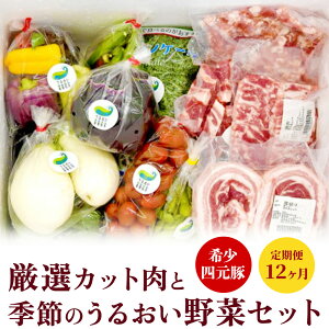 yӂ邳Ɣ[Łz 12  l I Jbg  G߂̂邨 Zbg GIFTON VN {  ①  ؓ |[N ؃o [X geL Ԃ ؂ p؂ ~