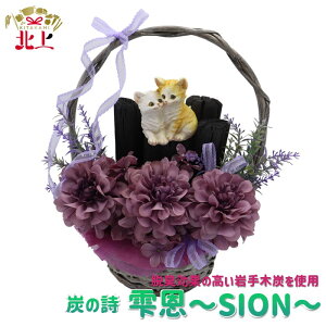 yӂ邳Ɣ[ŁzY̎ u`SION`v C EL L CeA IuWF bNX  ̓ v[g 蕨 Mtg [񁙂[