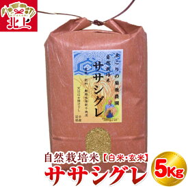 令和7年産予約受付【ふるさと納税】令和7年11月下旬〜発送 数量限定 【 ササシグレ 】( 白米 ・ 玄米 選択可能 ) 5kg お米 ごはん 数量限定 木こりの菊池農園 自然栽培米 希少 ご飯 ごはん おにぎり 国産 お米 岩手県 北上市 F0043