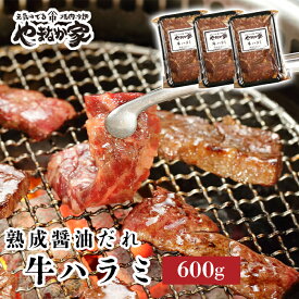【ふるさと納税】旨みたっぷり牛ハラミ【熟成醤油だれ】600g 焼肉 やまなか家 牛肉 冷凍 BBQ アウトドア パーティー お祝い ガッツリ 母の日 父の日 お中元 お土産 贈り物 ご贈答 KYフーズ (K2-028) 岩手県 北上市 D0500