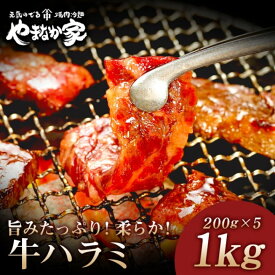 【ふるさと納税】旨みたっぷり牛ハラミ【熟成醤油だれ】1kg 焼肉 やまなか家 牛肉 冷凍 BBQ アウトドア パーティー お祝い ガッツリ 母の日 父の日 お中元 お土産 贈り物 ご贈答 KYフーズ (K2-025) 岩手県 北上市 D0501