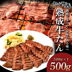 【ふるさと納税】やまなか家 厳選！厚切り牛たん500g 塩だれ 味付き BBQ 焼肉 パーティ おつまみ 低温管理 冷凍 牛タン 贈答 お歳暮 お中元 KYフーズ (K6−027) 父の日 おすすめ 岩手県 北上市 D0505