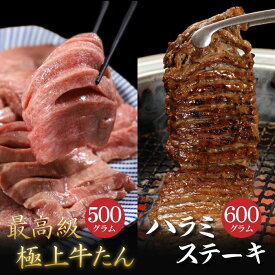 【ふるさと納税】肉厚牛たん (タン元) 500g と 牛ハラミステーキ 600g 焼肉 やまなか家 牛肉 冷凍 BBQ アウトドア 母の日 父の日 お中元 お土産 贈り物 ご贈答 KYフーズ（K6-032）