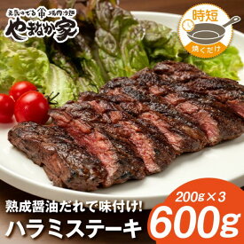 【ふるさと納税】プレミアム 極厚 ハラミステーキ【熟成醤油だれ】600g 焼肉 やまなか家 牛肉 冷凍 BBQ アウトドア パーティー お祝い ガッツリ 母の日 父の日 お中元 お土産 贈り物 ご贈答 KYフーズ (K2-026) 岩手県 北上市 D0502