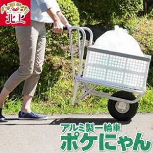 yӂ邳Ɣ[ŁzA~ ֎ |Pɂ ܂݃Reit L[ y ^ ׉^ O쏊
