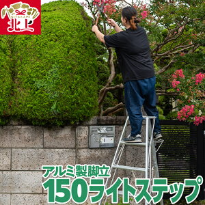 yӂ邳Ɣ[ŁzA~ r Or 150CgXebv SE-5 y ƂɁIyďv 茧 ks N0083 O쏊   L^c  